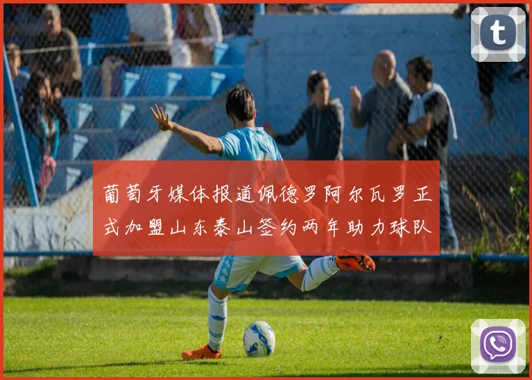 葡萄牙媒体报道佩德罗阿尔瓦罗正式加盟山东泰山签约两年助力球队发展